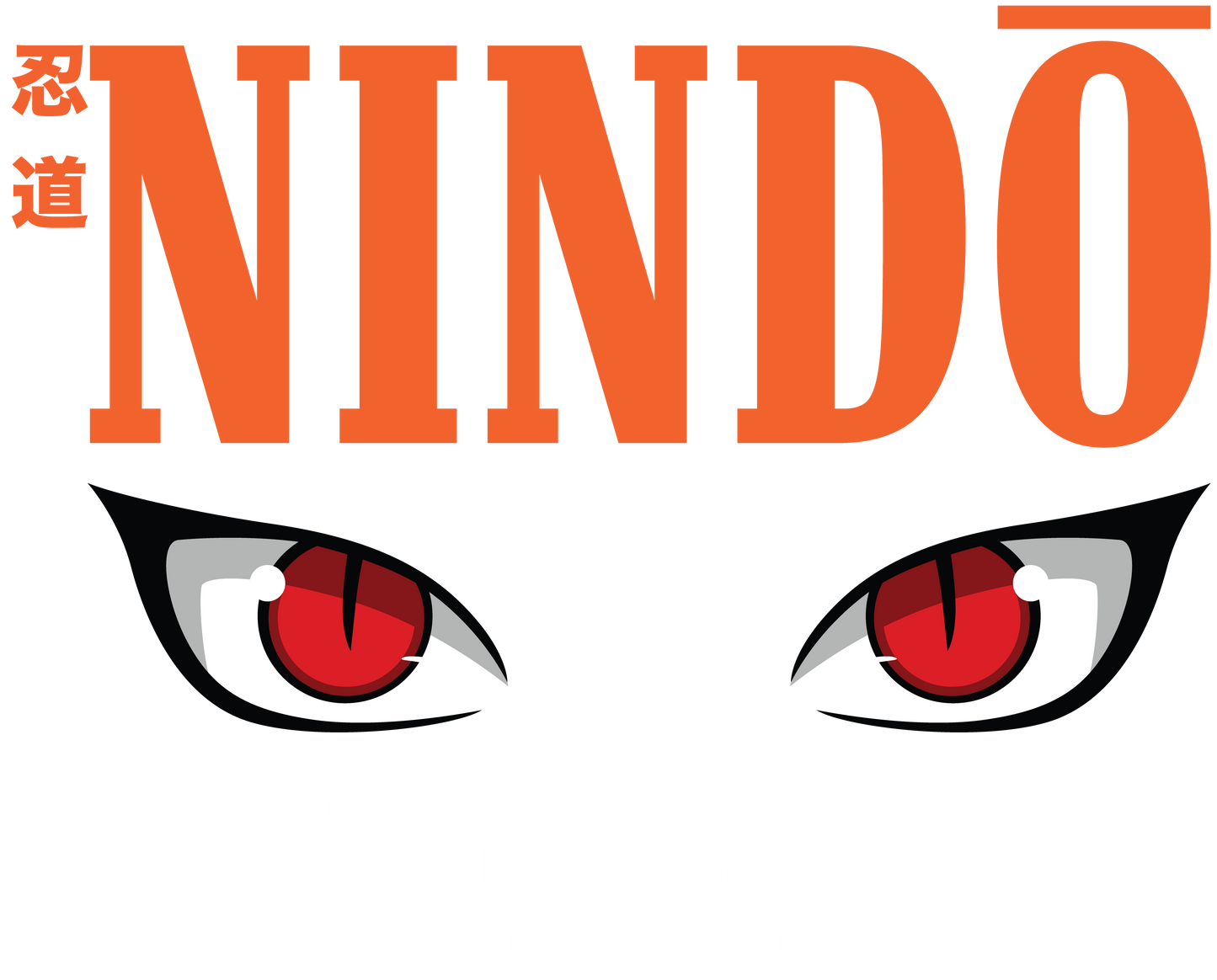 NARUTO : NINDO